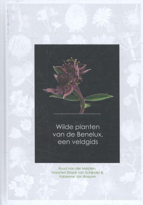 Wilde planten van de Benelux een veldgids 9789082451139, Boeken, Studieboeken en Cursussen, Zo goed als nieuw, Verzenden