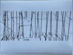 Mario Giacomelli (1925-2000) - “Bando” di Sergio Corazzini -, Antiek en Kunst