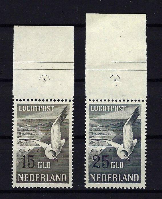 Nederland 1951 - Luchtpostzegels mat velrand Zeemeeuwen, Postzegels en Munten, Postzegels | Nederland