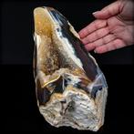 Fascinerende agaat-Druse extreem zeldzaam AAA+ Natuurlijk