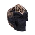 Nemesis Now - Spine Head Skull (JR) 18.5cm, Nieuw, Verzenden