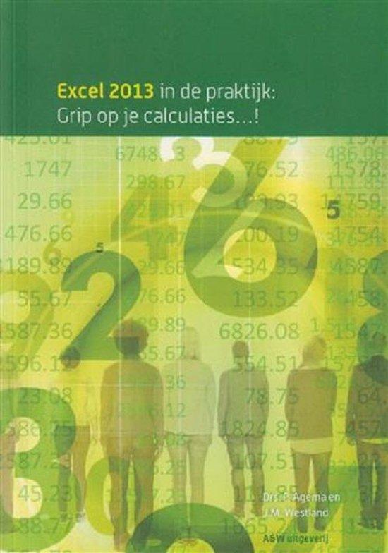 Excel 2013, grip op je calculaties, 9789490957063, Boeken, Studieboeken en Cursussen, Zo goed als nieuw, Verzenden