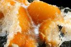 BIG MESOLITE op THOMSONITE botryoïdale formatie op matrix