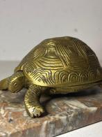 Beeld, Schildpad - 6 cm - Messing, Antiek en Kunst