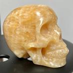 calciet Oranje calciet schedel - Hoogte: 14 cm - Breedte: