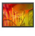 EIZO FlexScan S2133 - 21 inch - 1600x1200 - DP - DVI - VGA -, Computers en Software, Monitoren, Verzenden, Zo goed als nieuw