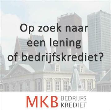 Bedrijfskredieten en leningen aangeboden voor het MKB beschikbaar voor biedingen