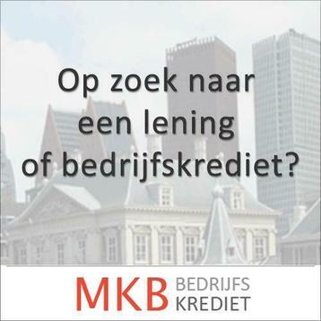 Bedrijfskredieten en leningen aangeboden voor het MKB