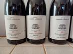 2020 Domaine Chandon de Briailles Les Valozières -, Nieuw