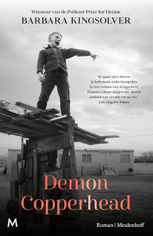 Demon Copperhead 9789029098656 Barbara Kingsolver, Boeken, Romans, Zo goed als nieuw, Verzenden