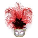 Luxe oog masker met veren - Oogmaskers, Verzenden, Nieuw