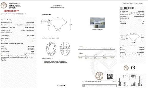Zonder Minimumprijs - Ring - 18 karaat Geel goud - 2.21ct., Sieraden, Tassen en Uiterlijk, Ringen