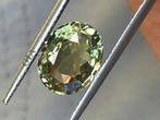 1 pcs Groen, Geel Alexandriet - 3.14 ct - Gemological, Sieraden, Tassen en Uiterlijk, Edelstenen, Nieuw