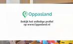 Lisette zoekt een oppas in Noordwijkerhout voor 1 kind op..., Boeken, Nieuw