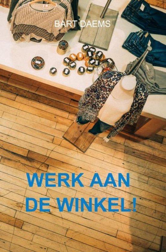9789464059779 Werk aan de winkel! Bart Daems, Boeken, Economie, Management en Marketing, Nieuw, Verzenden