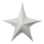 Kerstster | Ø 180 cm (5-punts, Binnen, Zilver), Diversen, Verzenden, Nieuw