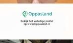 Ik ben Michael, 19 jaar oud en ik zoek oppaswerk in Saasv..., Diensten en Vakmensen, Dieren | Katten | Verzorging, Oppas en Les