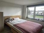 Kamer Keurmeestersplein in Maastricht, Overige soorten, Limburg