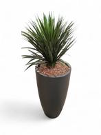Kunstplant Victoria in sierpot, H155 cm, Overige plaatsen, Ophalen of Verzenden, Gebruikt, Overige typen