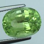 Zonder Minimumprijs - 1 pcs Groen Olivijn - 4.67 ct -, Sieraden, Tassen en Uiterlijk, Edelstenen, Nieuw