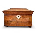 Large Regency rosewood sarcophagus tea caddy with original