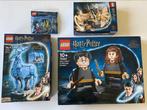 Lego Set - 76393 - Harry Potter - Harry Potter & Hermione, Nieuw
