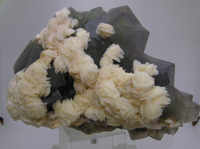 Fluoriet Kristal op matrix - Hoogte: 12 cm - Breedte: 9 cm-, Verzamelen, Mineralen en Fossielen