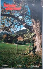 Krebs, Rolf - Switzerland- Berner Oberland, 1980