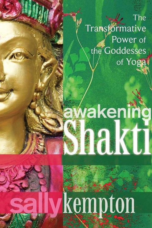 9781604078916 Awakening Shakti | Tweedehands, Boeken, Studieboeken en Cursussen, Zo goed als nieuw, Verzenden