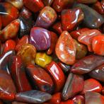 Arizona versteend hout - gepolijste stenen -, Verzamelen, Mineralen en Fossielen