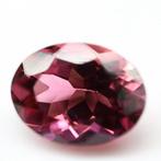 Zonder Minimumprijs - 1 pcs Roze Toermalijn - 1.53 ct -, Nieuw