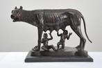 Beeldje, Capitoline Wolf - 65 cm - Gepatineerd brons