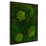 Vintlux Mosschilderij Lappenmos-Bolmos 30x40 cm Zwart - Vib, Nieuw