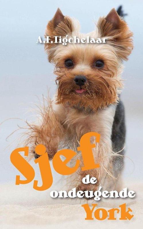 Sjef de ondeugende York 9789402230444 A.F. Tigchelaar, Boeken, Kinderboeken | Jeugd | 13 jaar en ouder, Zo goed als nieuw, Verzenden