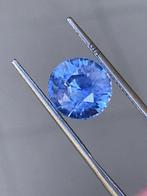 1 pcs Blauw, Violet Saffier - 5.32 ct - Gemological, Nieuw