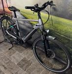 Pegasus Evo CX • Elektrische Fiets 750WH Accu • Bosch Motor, Overige merken, Ophalen of Verzenden, Zo goed als nieuw, 50 km per accu of meer