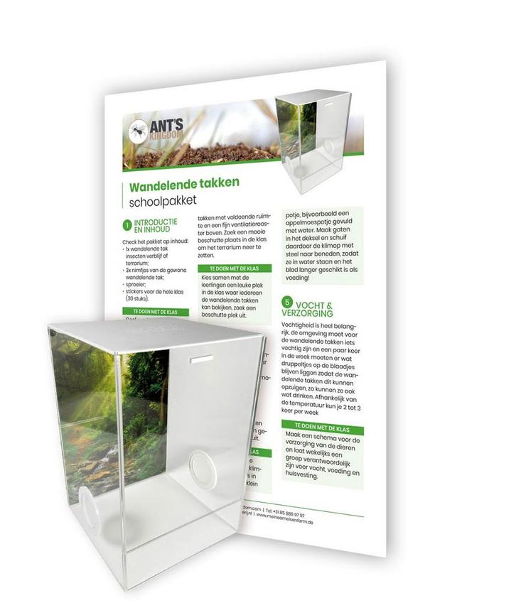 Wandelende Takken Schoolpakket, Dieren en Toebehoren, Insecten en Spinnen