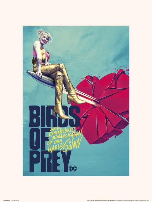 Kunstdruk Birds of Prey Broken Heart 30x40cm, Huis en Inrichting, Woonaccessoires | Schilderijen, Tekeningen en Foto's, Nieuw