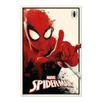 Poster Marvel Spider-Man Thwip 61x91,5cm, Verzenden, Nieuw, A1 t/m A3