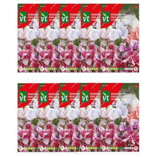 Bloemzaden reukerwt | VT | 10 stuks (Gemengd), Tuin en Terras, Bloembollen en Zaden, Verzenden