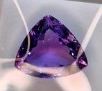 Zonder Minimumprijs Paars Amethist - 20.71 ct - Instituto, Nieuw