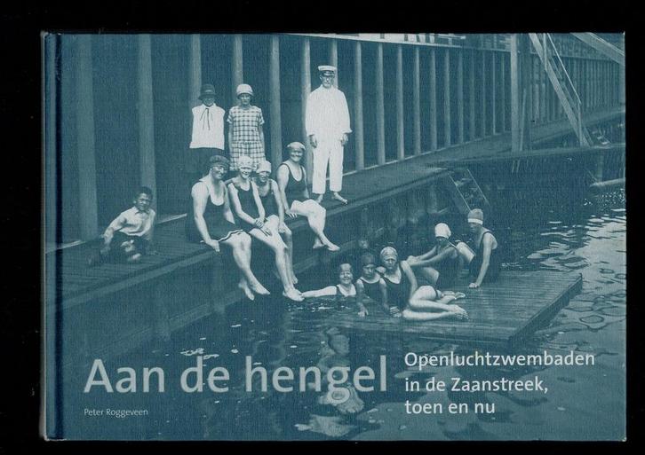 Aan de hengel 9789078381181 P. Roggeveen, Boeken, Geschiedenis | Stad en Regio, Gelezen, Verzenden