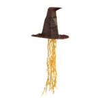 Pinata Harry Potter Hoed 46cm, Verzenden, Nieuw