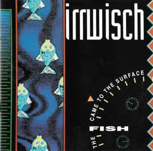 cd - Irrwisch - The Fish Came To The Surface, Cd's en Dvd's, Cd's | Overige Cd's, Zo goed als nieuw, Verzenden