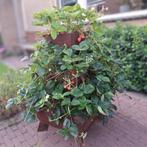 Bloementoren, Tuin en Terras, 100 cm of meer, Verzenden, Nieuw, Balkon