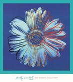Kunstdruk Andy Warhol - Daisy 1982 90x90cm, Huis en Inrichting, Woonaccessoires | Schilderijen, Tekeningen en Foto's, Verzenden