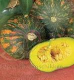 Speckled Pup F1 Cucurbita pepo Groen gevlekt pompoen, Ophalen of Verzenden, Nieuw