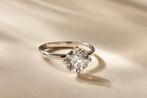 Ring - 14 karaat Witgoud - 2.55ct. tw. Diamant (Lab-grown), Nieuw