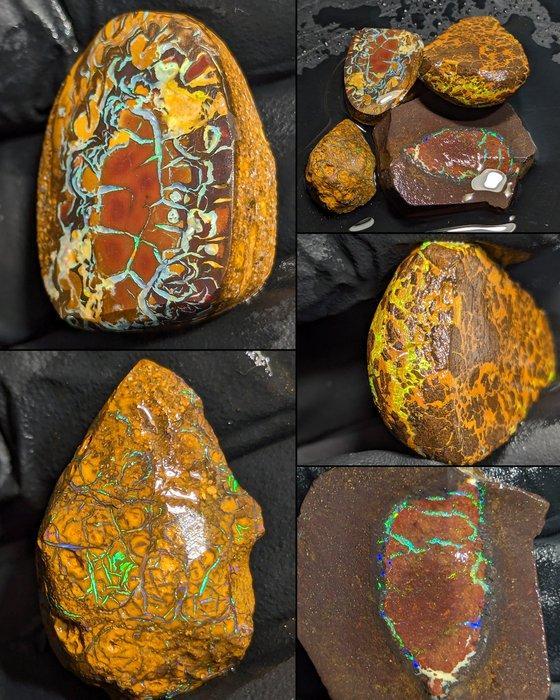 147,45 ct - 4x natuurlijke ruwe Boulder- en Koroit-opalen,, Verzamelen, Mineralen en Fossielen