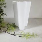 Iittala - Alvar Aalto - Vaas - Savoy (Opaline), Grootste